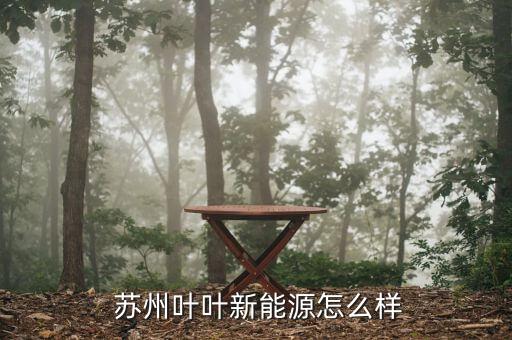 蘇州二葉怎么樣,?？粕究七x拔性考試