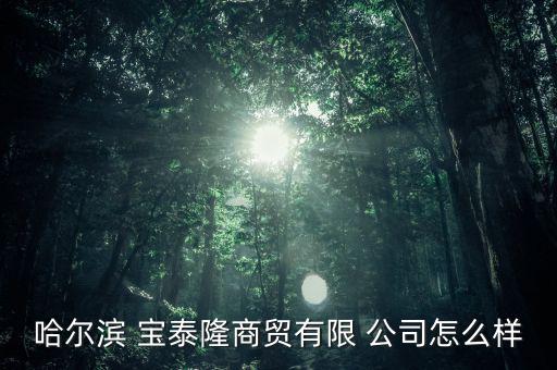 哈爾濱 寶泰隆商貿有限 公司怎么樣