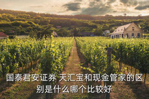 國泰君安證券 天匯寶和現(xiàn)金管家的區(qū)別是什么哪個(gè)比較好