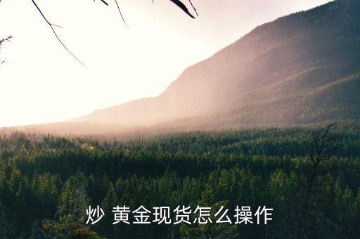 炒 黃金現貨怎么操作