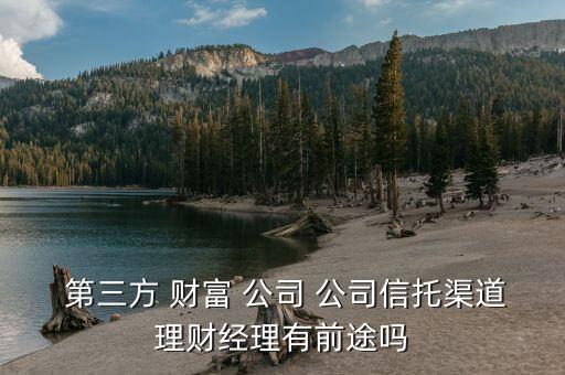 第三方財富管理公司怎么樣,恒天財富數(shù)碼化轉(zhuǎn)型實(shí)力仍很強(qiáng)