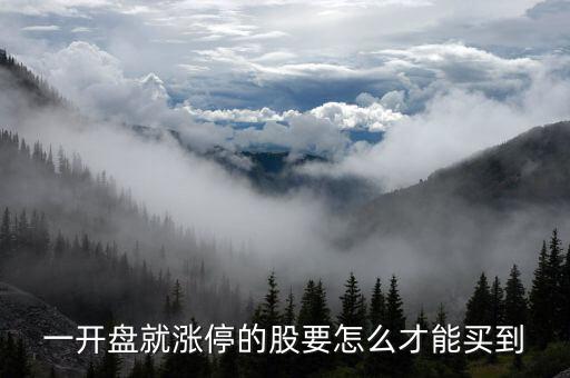 一開(kāi)盤(pán)就漲停的股要怎么才能買(mǎi)到