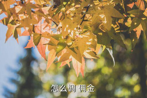 怎么調(diào)低傭金,先選擇券商電話(huà)號(hào)碼查詢(xún)傭金再預(yù)約客服人員協(xié)商