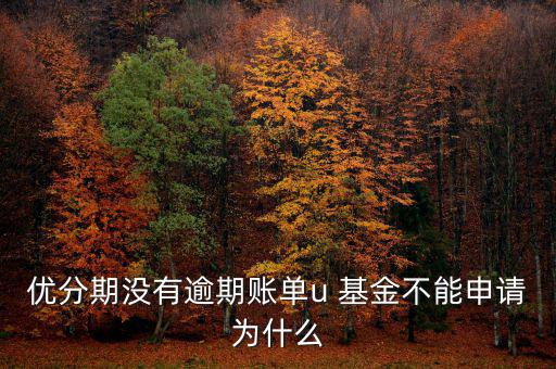 優(yōu)分期沒(méi)有逾期賬單u 基金不能申請(qǐng)為什么