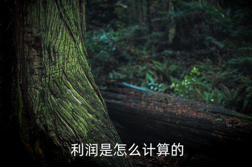  利潤是怎么計(jì)算的