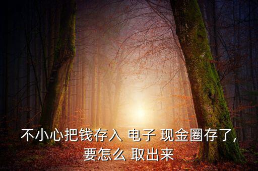 怎么把電子現(xiàn)金取出來(lái),什么是電子現(xiàn)金?!