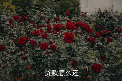 貸款怎么還合適,中國銀行推出等額本息、月均本金等還款方式