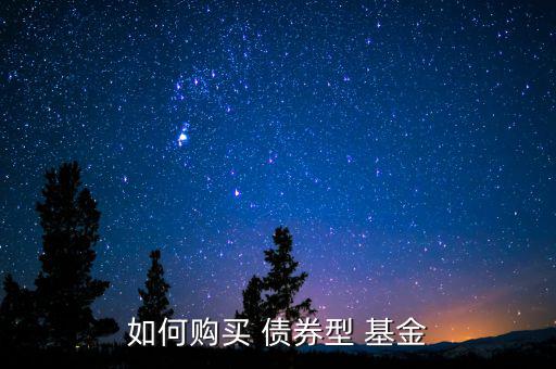 如何購買 債券型 基金