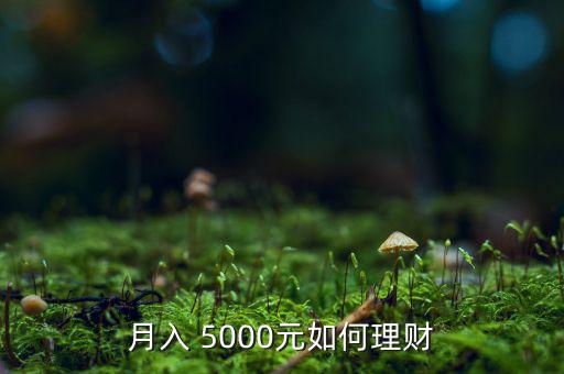 月入 5000元如何理財(cái)