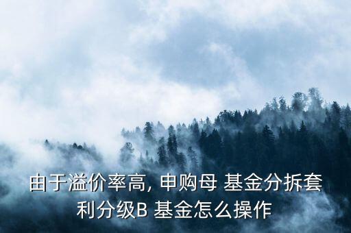 怎么申購b基金,如何申購和兌換新加坡母親基金?