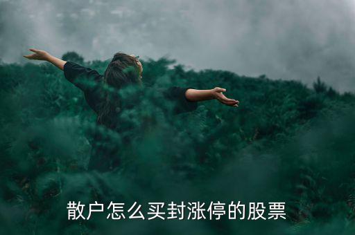 怎么買到漲停板,周一開盤必須知道的股票