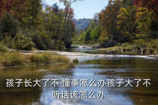 懂事遲怎么辦,懂事這個詞不太適用但其內涵仍適用