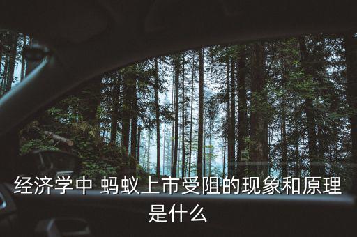 經濟學中 螞蟻上市受阻的現象和原理是什么