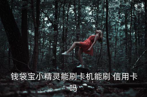  錢袋寶小精靈能刷卡機(jī)能刷 信用卡嗎