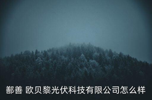 歐貝黎怎么樣,杉杉?xì)W貝黎光伏科技有限公司更多資訊見(jiàn)愛(ài)企調(diào)查