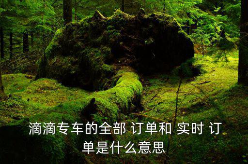  滴滴專車的全部 訂單和 實(shí)時 訂單是什么意思