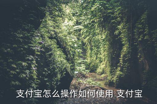 77元支付成功后怎么用,如何在支付寶上使用?