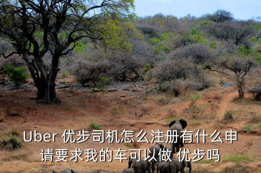 Uber 優(yōu)步司機(jī)怎么注冊有什么申請要求我的車可以做 優(yōu)步嗎