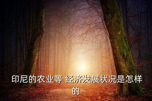  印尼的農(nóng)業(yè)等 經(jīng)濟(jì)發(fā)展?fàn)顩r是怎樣的