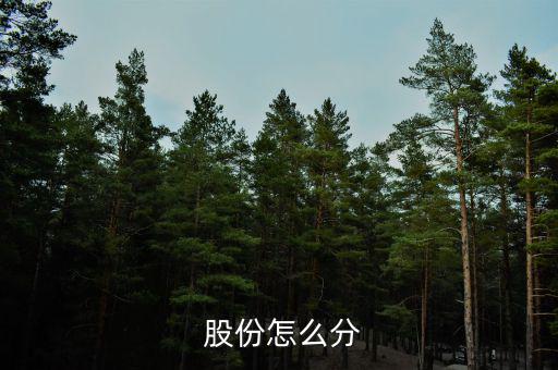 后入伙股份怎么分,股權(quán)分配:一人享有多數(shù)