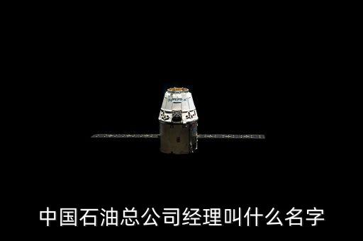 蔣潔敏怎么不宣判,中國(guó)石油天然氣集團(tuán)公司總經(jīng)理廖將永遠(yuǎn)擔(dān)任