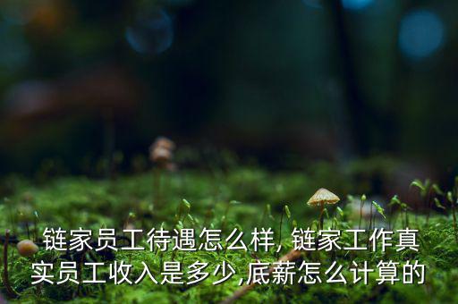 鏈家怎么盈利,鏈家代第三方公司收取房屋交易保證服務(wù)費