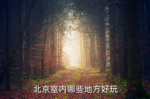 北京光合文旅怎么樣,北京室內可玩的地方有哪些?