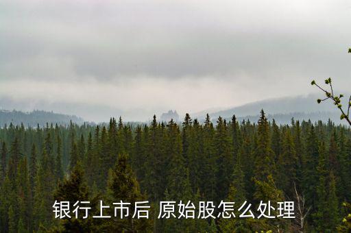 原始股怎么轉讓,上市公司原始股東可在指定證券交易場所轉讓