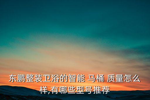 國產(chǎn)自動馬桶質(zhì)量怎么樣,?，斨悄荞R桶排便后自動沖洗功能齊全