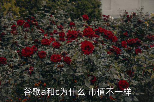 谷歌市值怎么看,谷歌股票拆分后享有同同分紅權