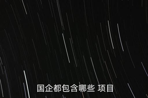 國企項目怎么談,國企收錄了哪些企業(yè)?