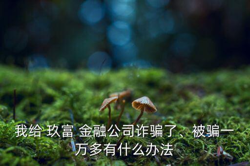我給 玖富 金融公司詐騙了、被騙一萬多有什么辦法
