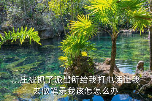 怎么做黑莊,如何成為股市理財專家?