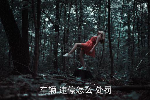  車輛 違停怎么 處罰
