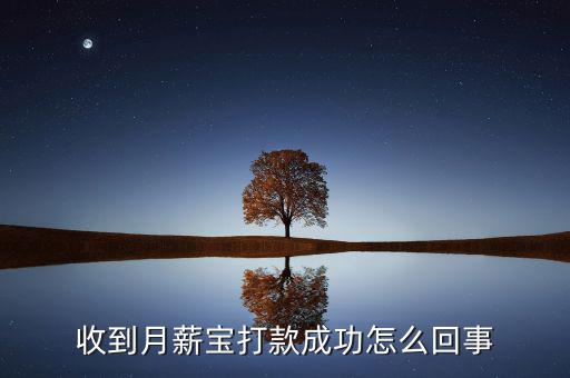 搜易貸怎么用,如何使用百度錢(qián)花理財(cái)