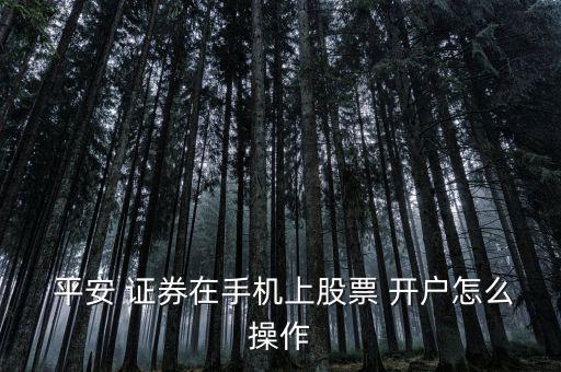 平安證券開戶后怎么用,如何開平安證券賬戶?