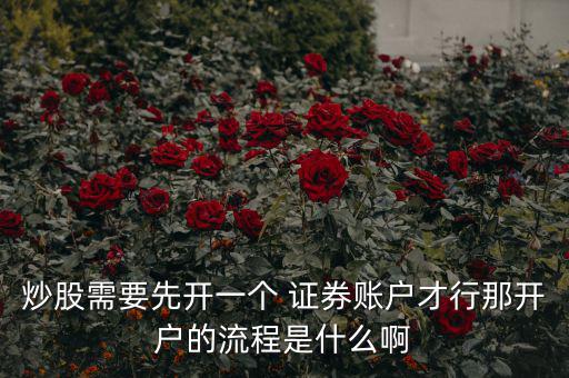 怎么開深圳證券帳戶,炒股需要開立什么賬戶?