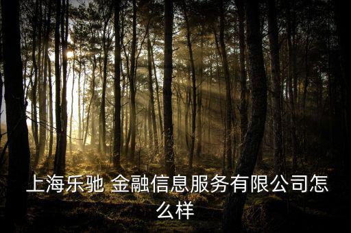  上海樂馳 金融信息服務有限公司怎么樣