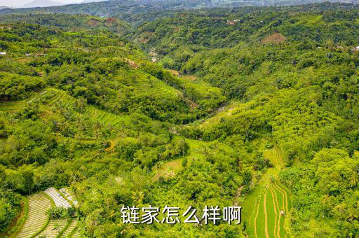 鏈家服務(wù)怎么樣,鏈家積極布局線上平臺提升購買體驗
