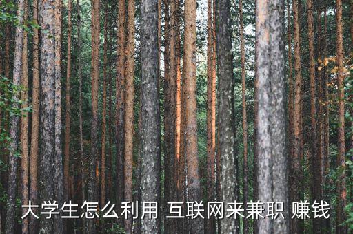 互聯(lián)網經濟怎么賺錢,第一章:互聯(lián)網時代如何賺錢?
