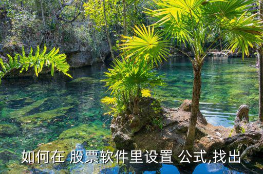 如何在 股票軟件里設置 公式,找出