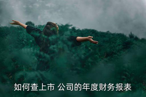 怎么找公司年報(bào),點(diǎn)擊查詢即可查詢公司年報(bào)及定期報(bào)告
