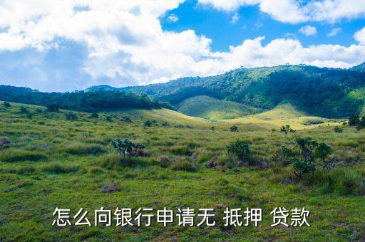 免抵押貸款是怎么貸,抵押貸款、擔(dān)保貸款一般略高于-0貸款
