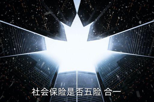 社會保險是否五險 合一