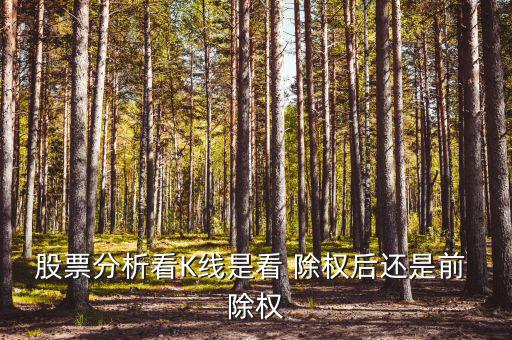 怎么看除權(quán),除權(quán)日前一天持有其股份的人可享有除權(quán)除息權(quán)益