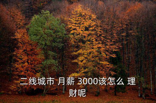 二線城市 月薪 3000該怎么 理財(cái)呢
