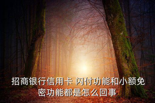 招商銀行閃付怎么開通,如何開通銀聯(lián)閃付?