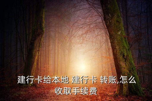  建行卡給本地 建行卡 轉賬,怎么收取手續(xù)費