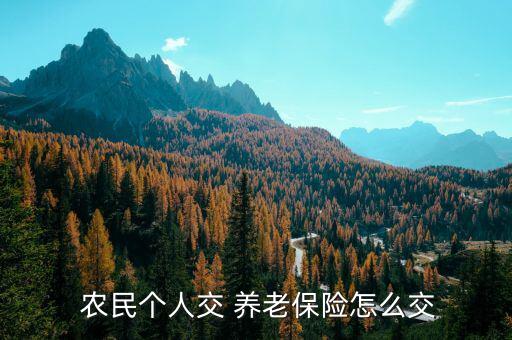  農民個人交 養(yǎng)老保險怎么交