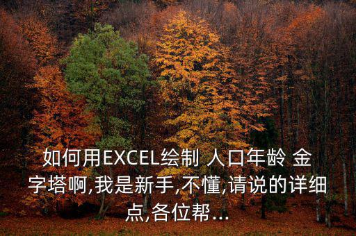 如何用EXCEL繪制 人口年齡 金字塔啊,我是新手,不懂,請說的詳細(xì)點,各位幫...